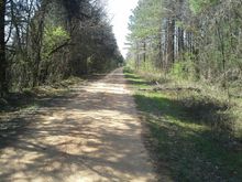 Perry County, Alabama highway 12 starte paved, and turned to dirt five miles in or so.