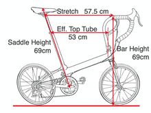Dimensions: Stretch 57.5cm; Max Saddle height with 250mm seatpost: 69cm; Effective Top Tobe 53 cm; handlebar height 69cm