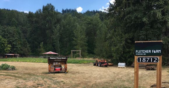 Local farmette - pumpkin season is their biggie.