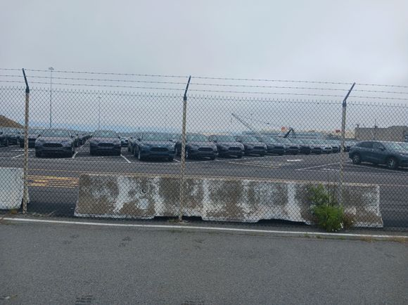 Unloading Hondas and Subarus