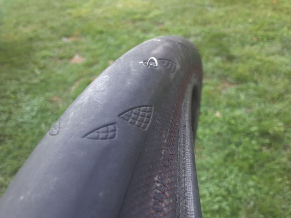 Gatorskin with wire hook.