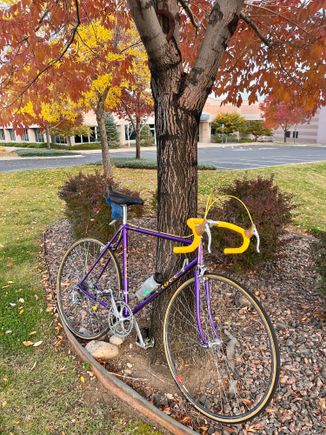 It's a beautiful fall day in Colorado, colors changing...