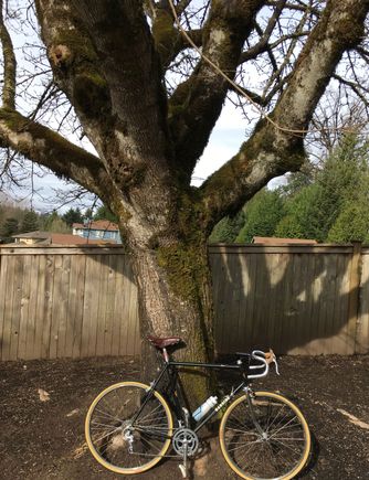 The Harding (Holdsworth) Special, with the softie tires = Soma Supple Vitesse in 33mm.  Maybe too plushy, I’m more 25-28 on these roads.