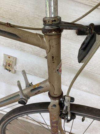 I foresee at least two gallons of Evapo-Rust in this bike's future!
