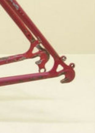Giant Coldrock rear dropouts