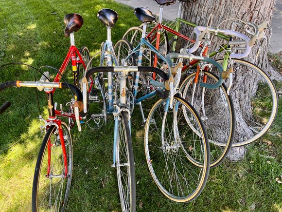 Family portrait of my Raleighs - '79 Team 753, '78 Pro, '74 Pro, '75 International, '74 Super Tourer