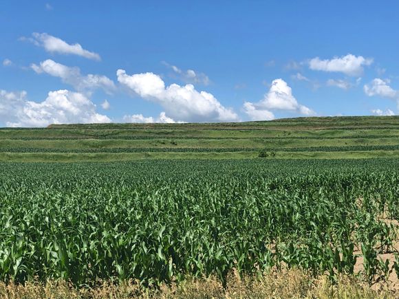Typical Iowa but love these terraces 