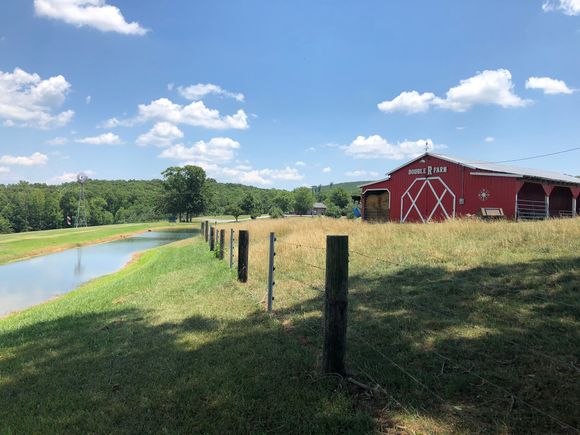 Neat animal farm.