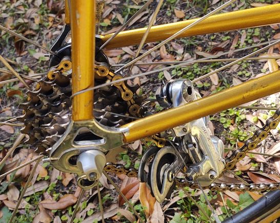 DA AX RD dismounted from the hanger and destroyed two vintage Roval spokes, which seem to be unobtanium. 