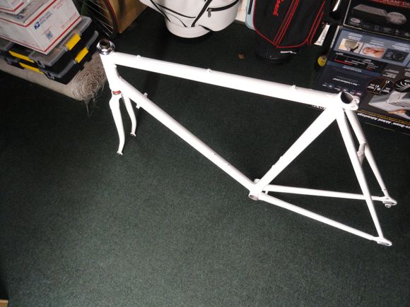 Frame and fork Powder coated in bright white. No decal set is available for this model so it is without Paramount markings.  PDG 3 is available from Velocals/