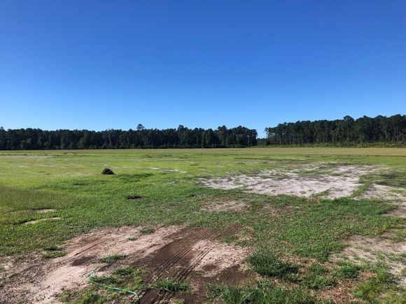 What used to be tobacco fields are now grass sod farms. All the new houses are being sodded for instant yards.