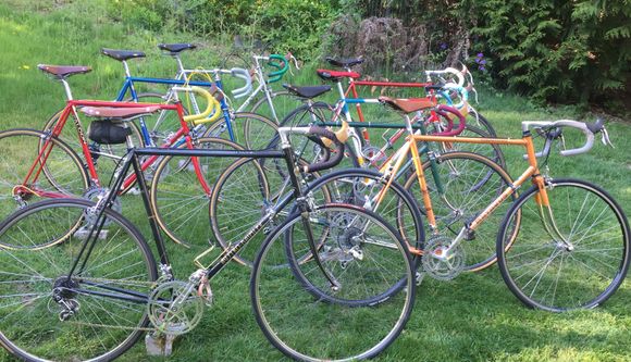 Same hill as I posted 5 bikes on earlier. Those got sold these are more worthy.