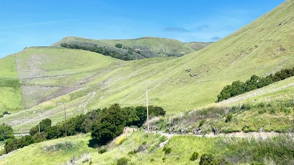 A line of cyclists on the lower slopes