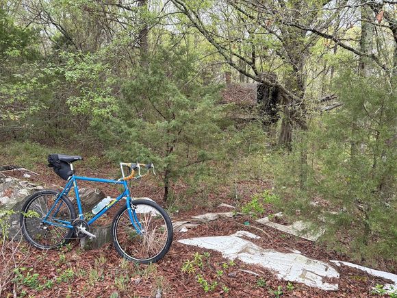 Stopped for a moment along Dixie Drive