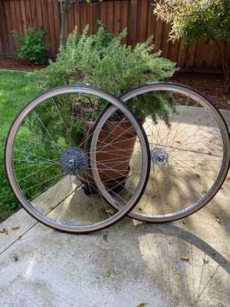 Wheels built!