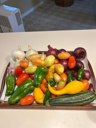 Garden doing ok, here is some of the harvest. I have a basket full of onions drying out by a fan. In about a week the tomatoes 🍅 will be coming in mass. 