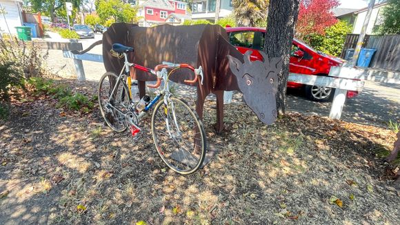 Obligatory photo of the bike,  taken just a few blocks before I got back home.