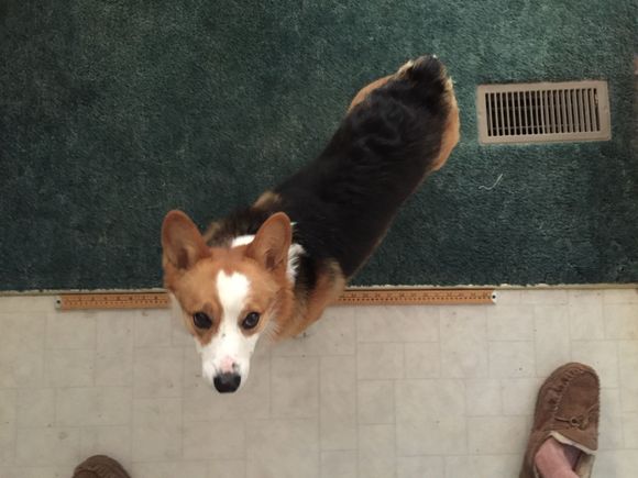 Jax is short but long.