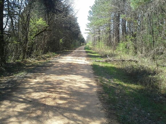 Perry County, Alabama highway 12 starte paved, and turned to dirt five miles in or so.