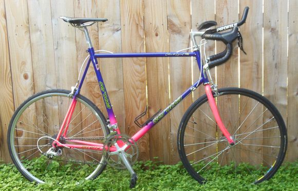1993 Serotta Colorado Legend Tri 650c.
Fushia doesn't photo well on my camera, but it is day-glo for sure!