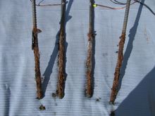 Electrodes with Rust that has been pulled from parts.