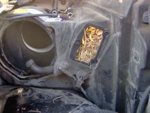 I also had a 'bit' of a problem with tamarack needles plugging up my AC condenser!