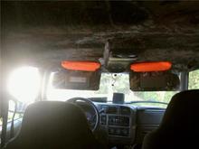 Orange secondary visors