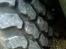 IMG00106 20100901 0802