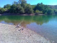 Yes those are fishing poles !