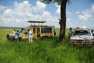 In the Serengeti   The LC got stuck - we towed it out!