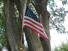 LETS NEVER FORGET THOSE WHO GAVE ALL
                       FREEDOM is NOT FREE. A Thank you to all our Veterans .