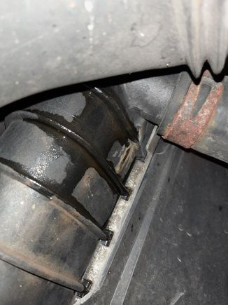 THE LEAK