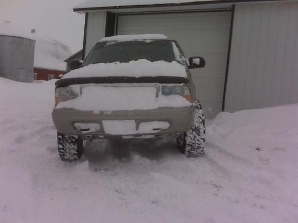 Fun in the snow!