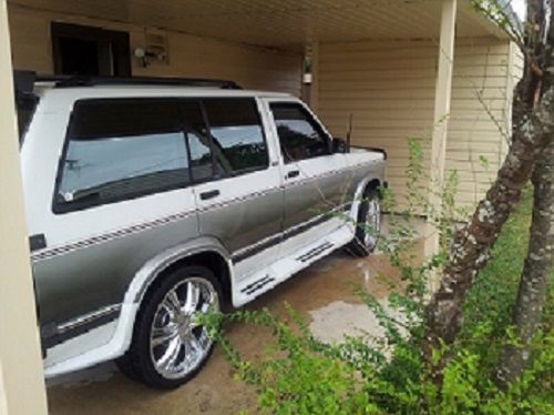 1991 S10 Blazer 4x4 4.3l