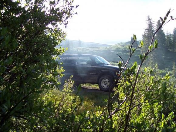 My best pic I think, the TB through the willows and campfire smoke