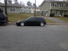 static life