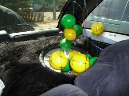 My bouncing ball on subs idea. Worked pretty good lol