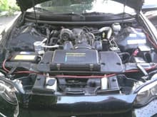 Under her hood with system ran