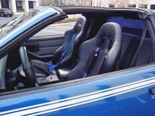 Interior Blue 4 point harnesses