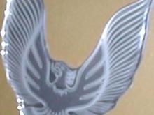 02 close up1