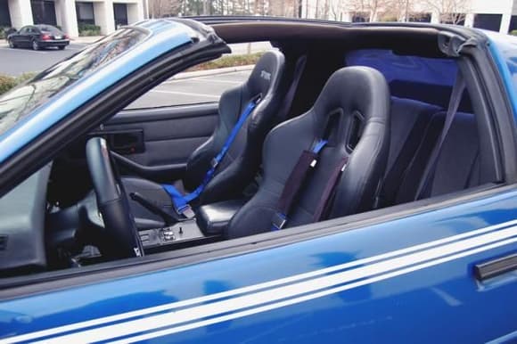 Interior Blue 4 point harnesses