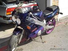 FZR600