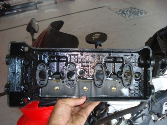 cam case cover