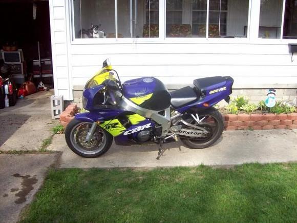 Just after I got it. I need a more recent photo. It has changed.