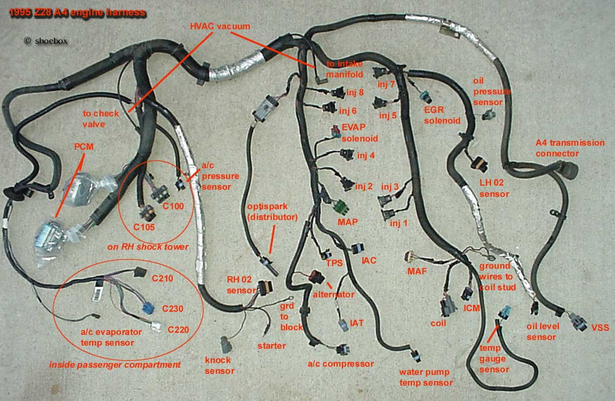 Wiring harness routing 1995 Camaro LT1 Z28 - Chevrolet Forum - Chevy  Enthusiasts Forums 69 Camaro Carbon Fiber Hood ChevroletForum