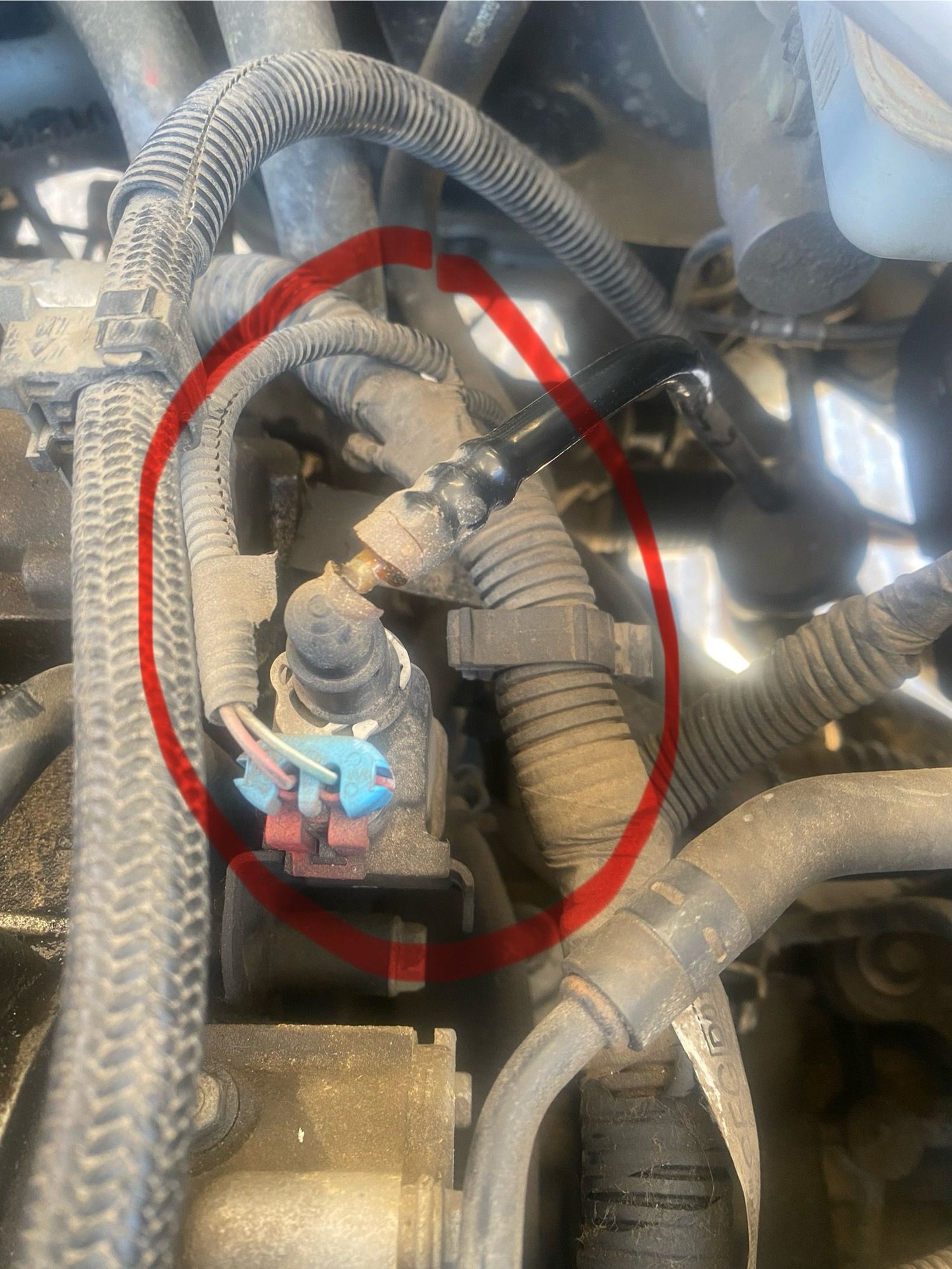 Broken hose - pls see next photo for location reference to the engine. 