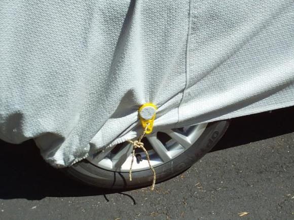 Tarp Clip and Bowline Knot, the square knot is better.