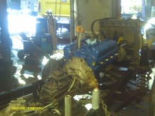 302 Ford, 5 speed, coil spring front Rover axle
