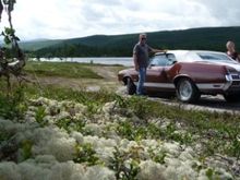 Cutlass in Norwegian nature