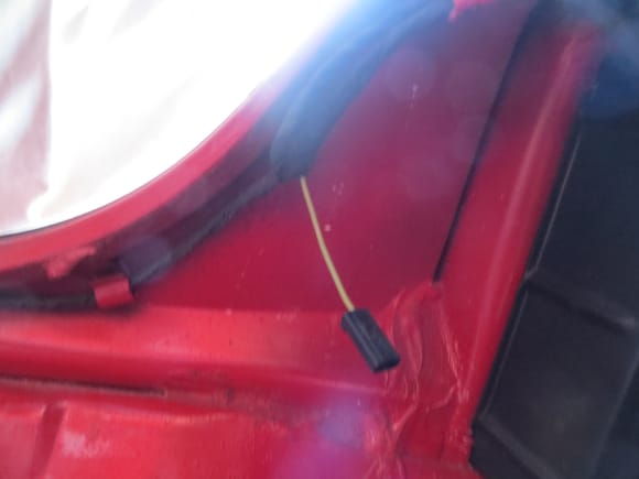 Back up light connector in trunk.